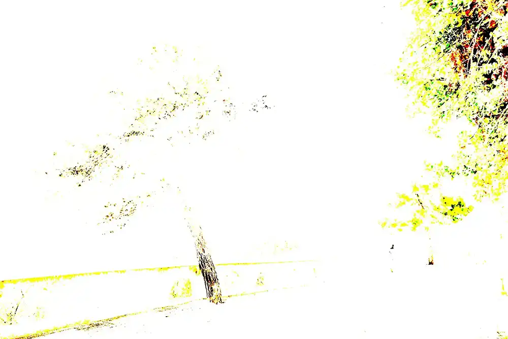 Lightroom Basic panel whites and blacks sliders