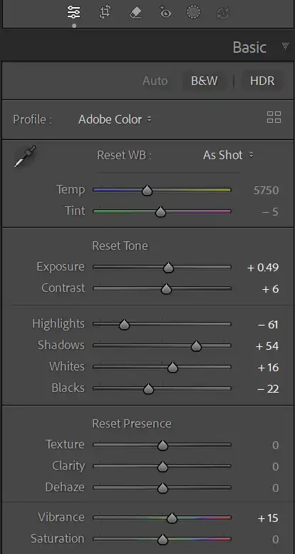 Lightroom Auto button in the Basic panel