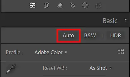 Lightroom Auto button in the Basic panel