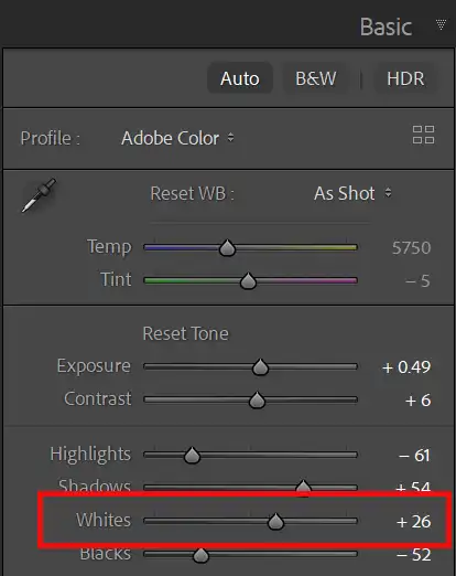 Lightroom Basic panel highlights and shadows sliders