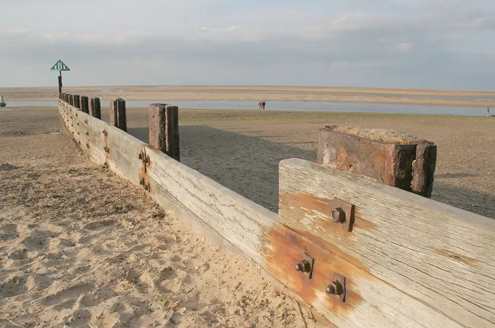 Original image before editing