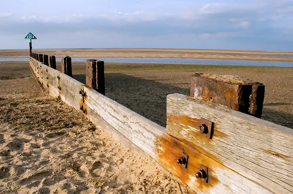 Original image before editing