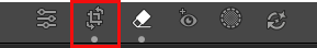 Lightroom Crop Tool