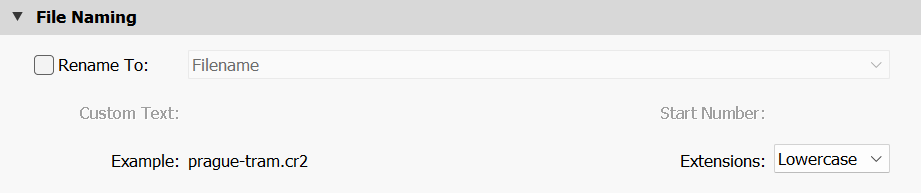 File Naming Panel