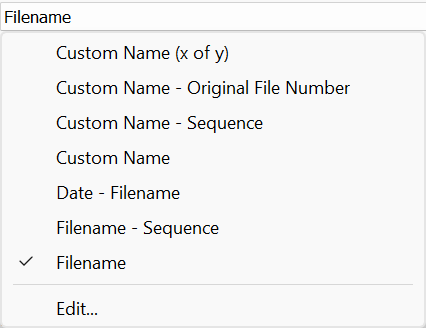 Filename Template