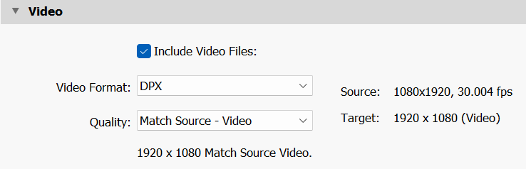 Video Export Panel