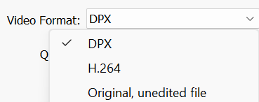 Video Format Options
