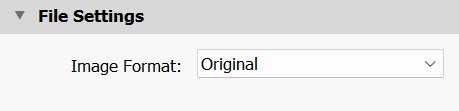 File Settings Panel