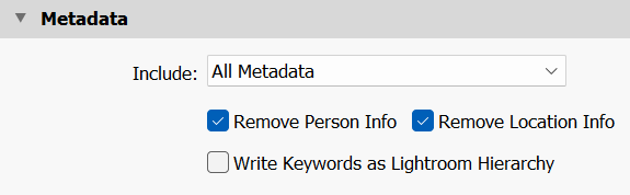 Metadata Panel