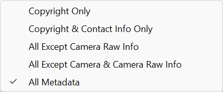 Location Metadata Options