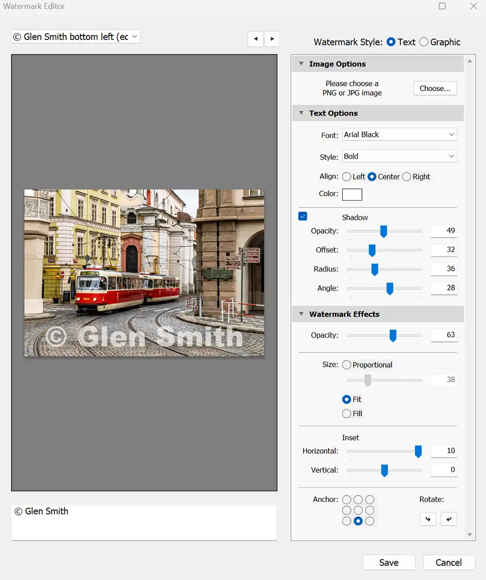Watermarking Panel