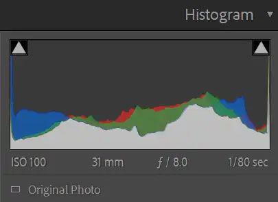 Histogram Editing Workflow