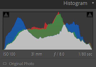Histogram Layout