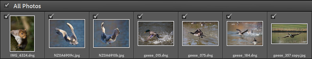 lightroom-import-step5
