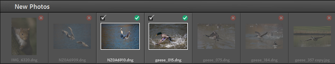 lightroom-import-step5
