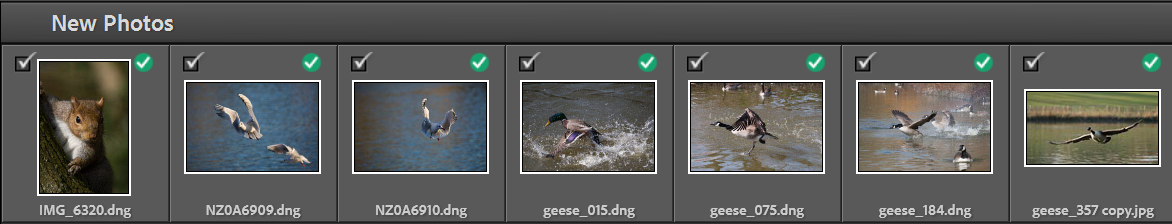 lightroom-import-step5