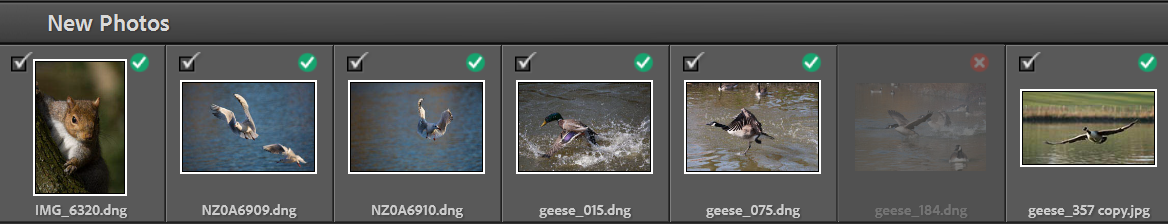 lightroom-import-step5