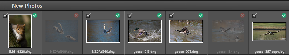 lightroom-import-step5