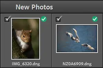 importing-photos-lightroom
