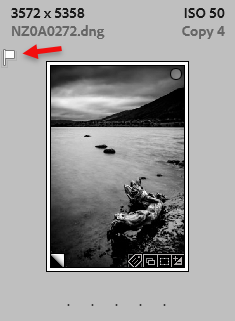 Star ratings in Lightroom