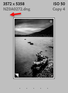 Star ratings in Lightroom