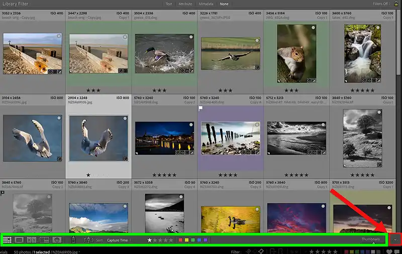 Show and hide all panels in Lightroom
