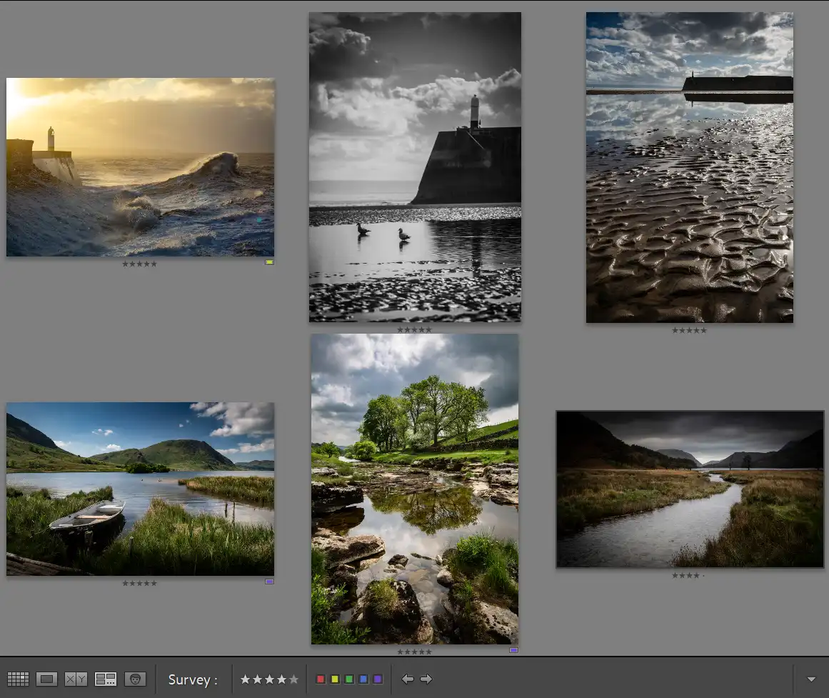 Compare and Survey View in Lightroom