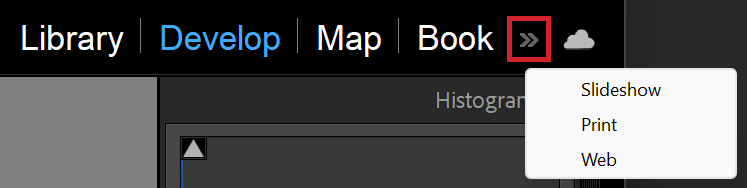 Show and hide side panels in Lightroom