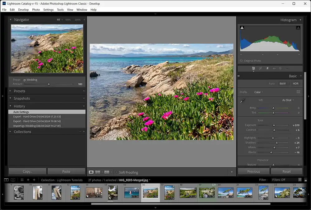 Show and hide all panels in Lightroom