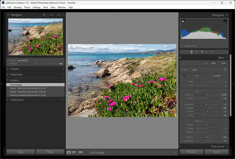 Show and hide all panels in Lightroom