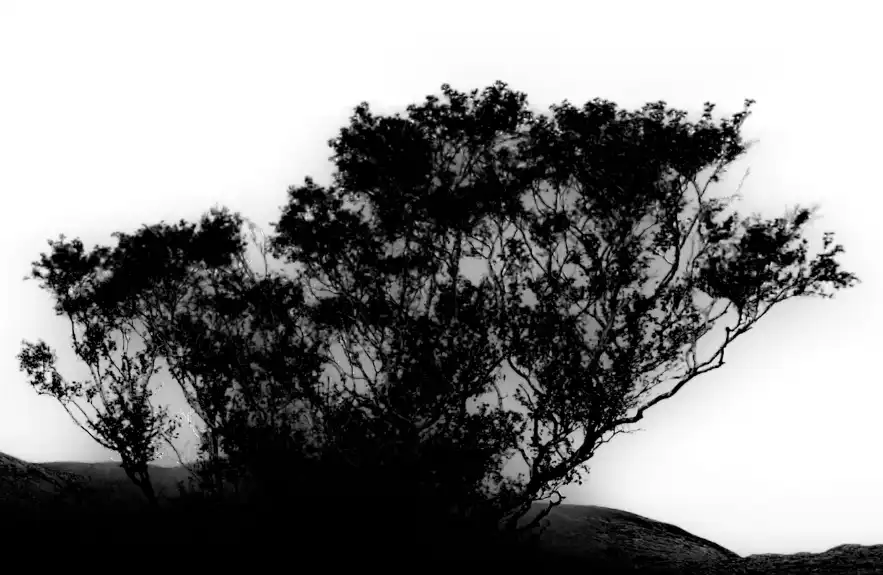 Finished edit using Select Subject in Lightroom