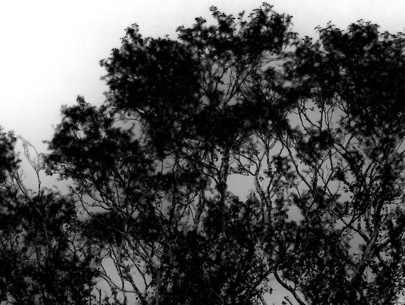 Finished edit using Select Subject in Lightroom