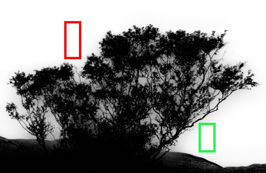 Finished edit using Select Subject in Lightroom
