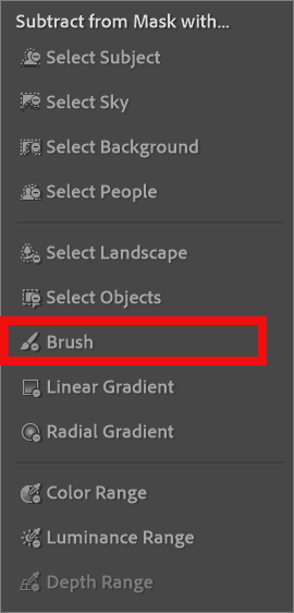 Finished edit using Select Subject in Lightroom