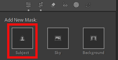 Select Subject option in Lightroom Masking panel