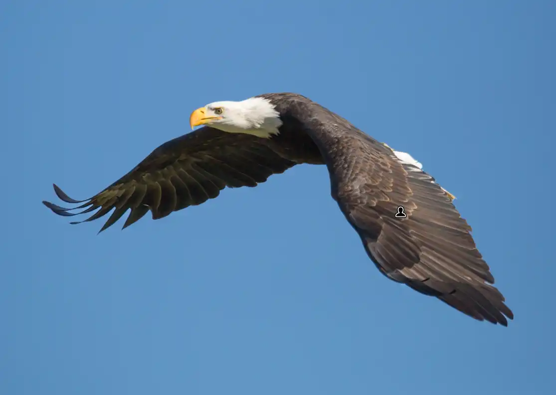 Adjusting exposure and contrast on a Select Subject mask