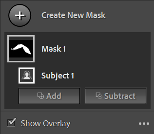 Select Subject option in Lightroom Masking panel