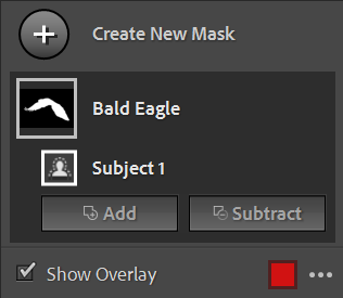 Select Subject option in Lightroom Masking panel