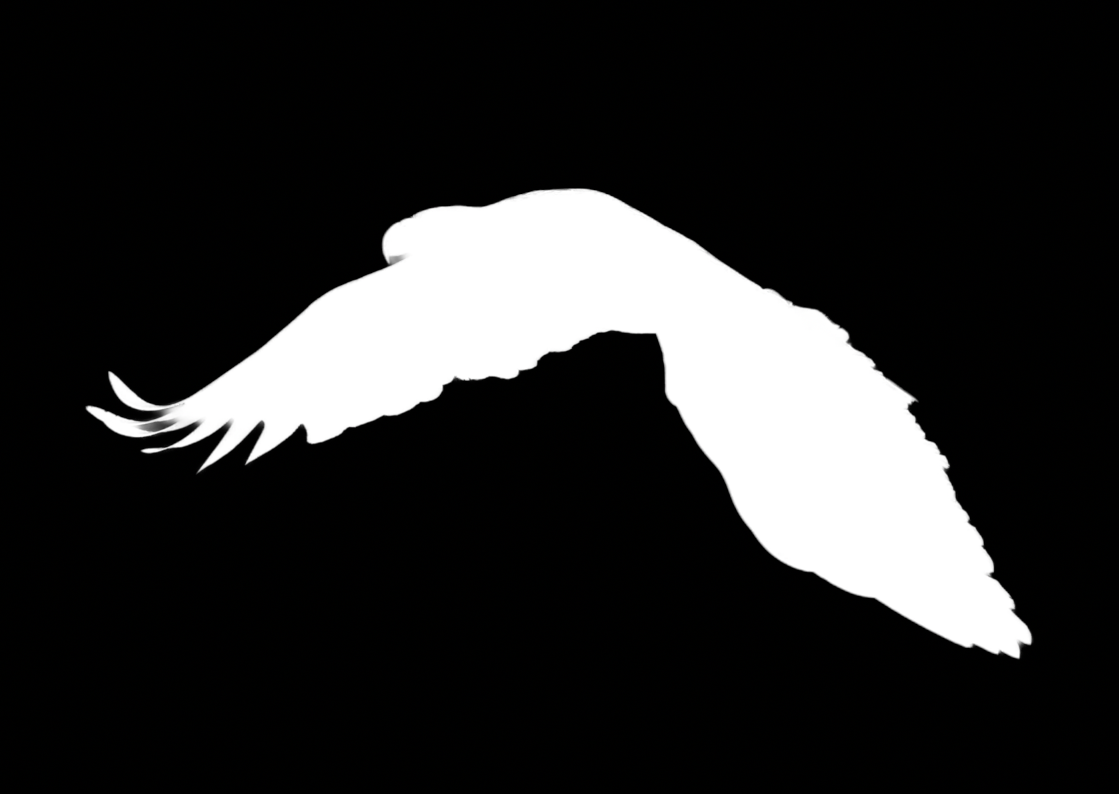 Overlay showing Select Subject mask in Lightroom