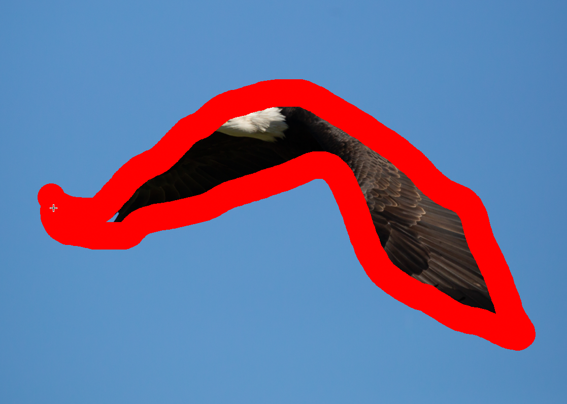 Overlay showing Select Subject mask in Lightroom