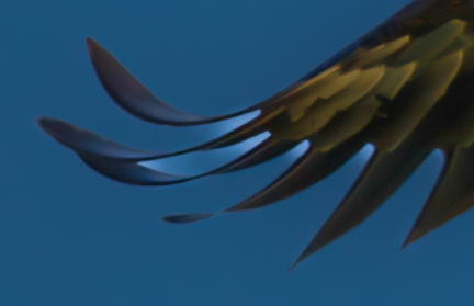 Inverting a Select Subject mask to adjust the background