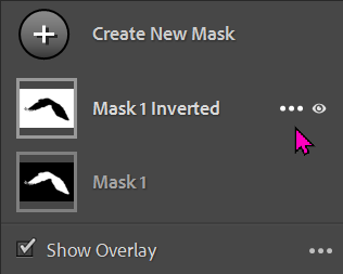 Lightroom Classic Develop module with a portrait open