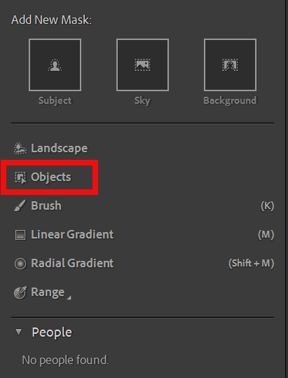 Select Subject option in Lightroom Masking panel