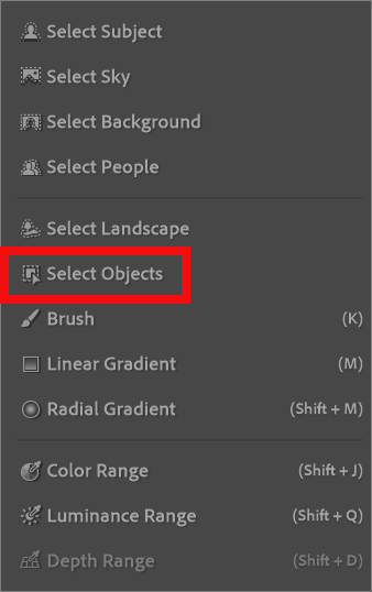 Select Subject option in Lightroom Masking panel