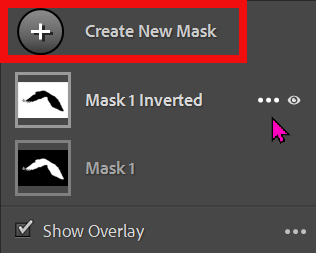 Select Subject option in Lightroom Masking panel
