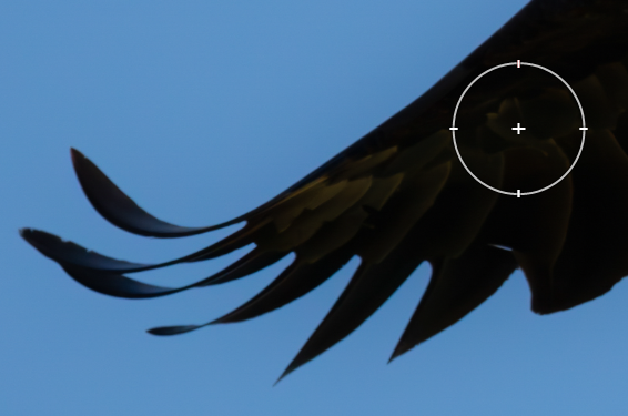 Overlay showing Select Subject mask in Lightroom