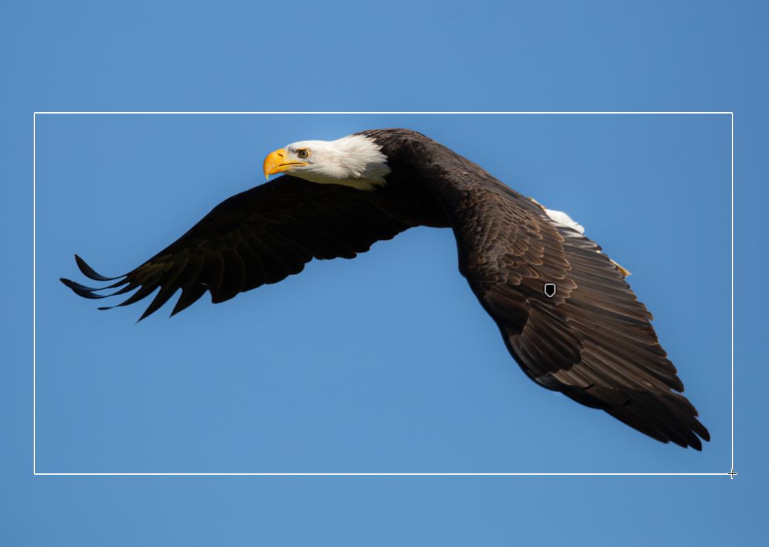 Overlay showing Select Subject mask in Lightroom