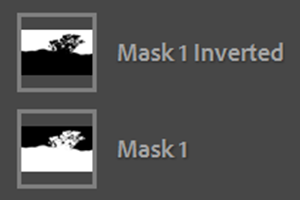 Duplicate & Invert Mask