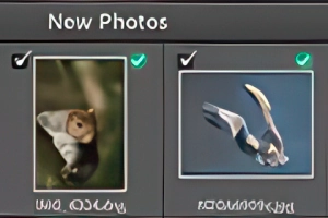 Importing Photos