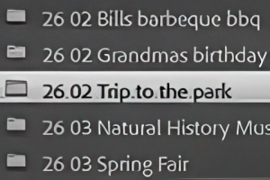 Organizing Photos in Lightroom
